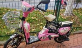 电动车佛山事件最新爆料,揭秘背后惊人真相