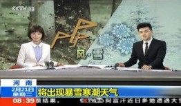 最新爆料暴雪事件新闻视频,揭秘背后真相与影响