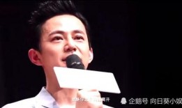 爆料何老师最新视频播放,揭秘幕后故事与精彩瞬间