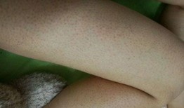 吃鸡皮肤最新返厂爆料,揭秘神秘爆料，带你领略时尚潮流！