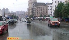 博白最新爆料,揭秘背后惊人真相