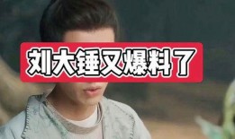 刘大锤今日爆料最新,揭秘娱乐圈最新惊天秘密！