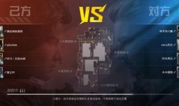 和平精英视频爆料大全最新,揭秘最新视频爆料大全，精彩瞬间一网打尽！